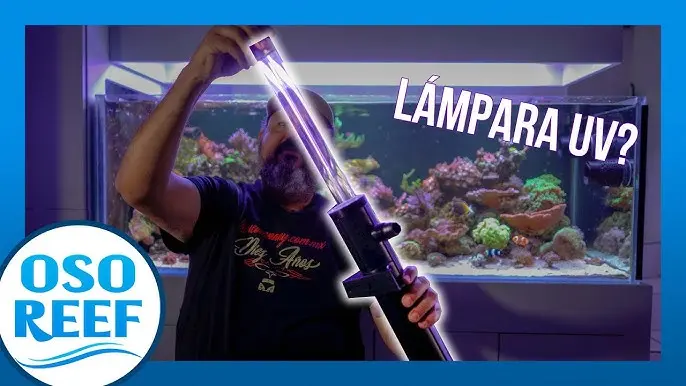 Cómo hacer una lámpara UV para acuario - Cómo hacer un purificador de agua con luz ultravioleta como hacer una lámpara uv para acuario - Cómo hacer un purificador de agua con luz ultravioleta