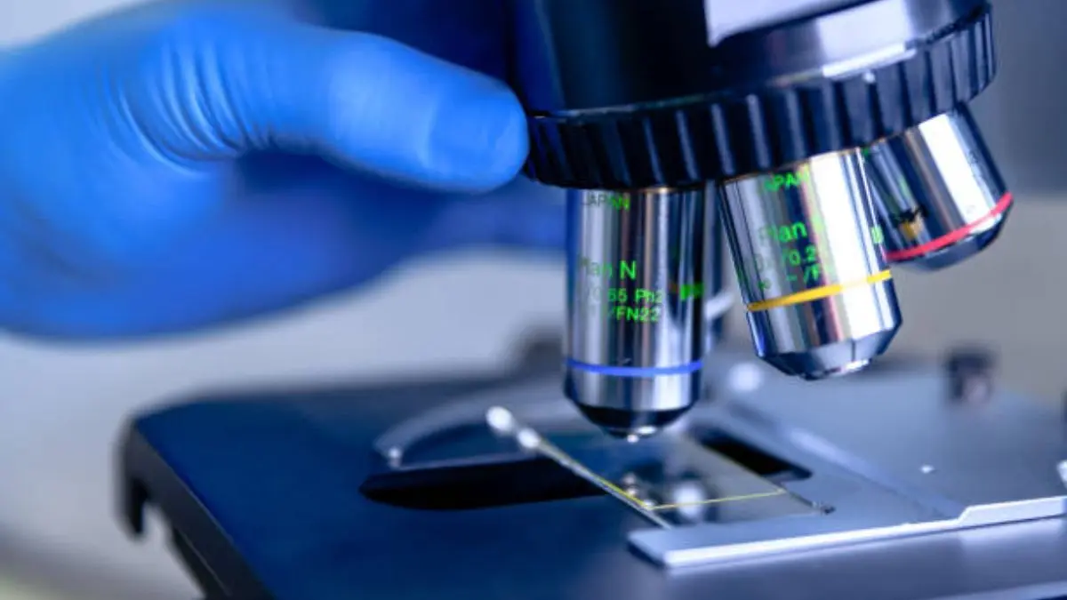 Cómo conectar un microscopio a una pantalla - Cómo poner el microscopio como conectar un microscopio a una pantalla - Cómo poner el microscopio