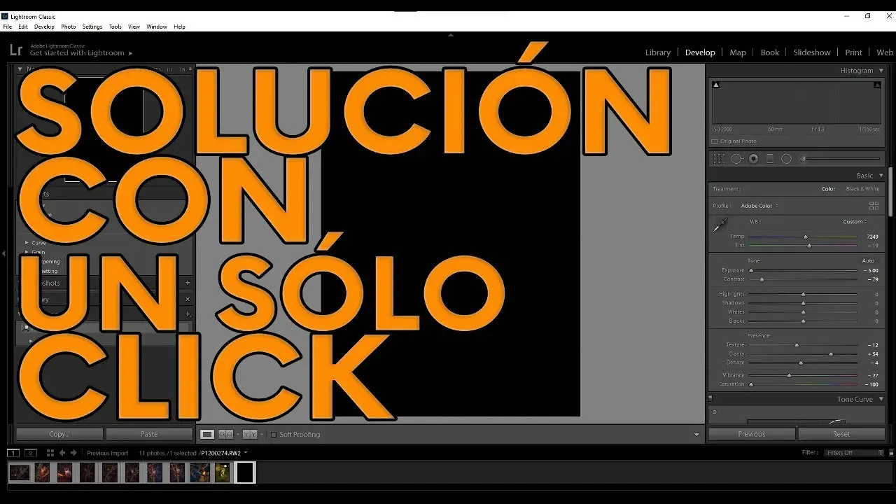 Pantalla gris en Lightroom: Cómo solucionarlo - Cómo quitar Vista previa de Lightroom pantalla gris en lightroom - Cómo quitar Vista previa de Lightroom