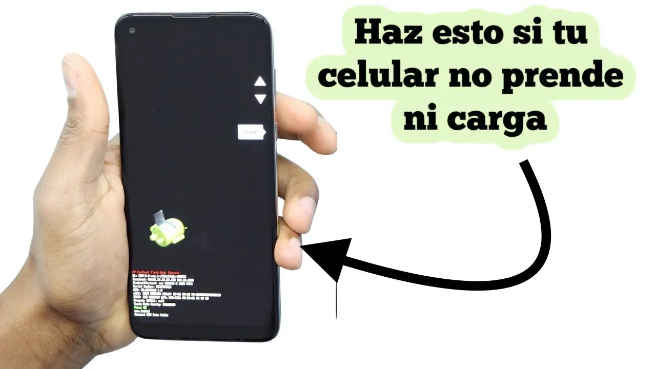 Motorola G4 Pantalla Negra: Cómo solucionar este problema - Cómo se reinicia el Motorola g4 motorola g4 pantalla negra - Cómo se reinicia el Motorola g4