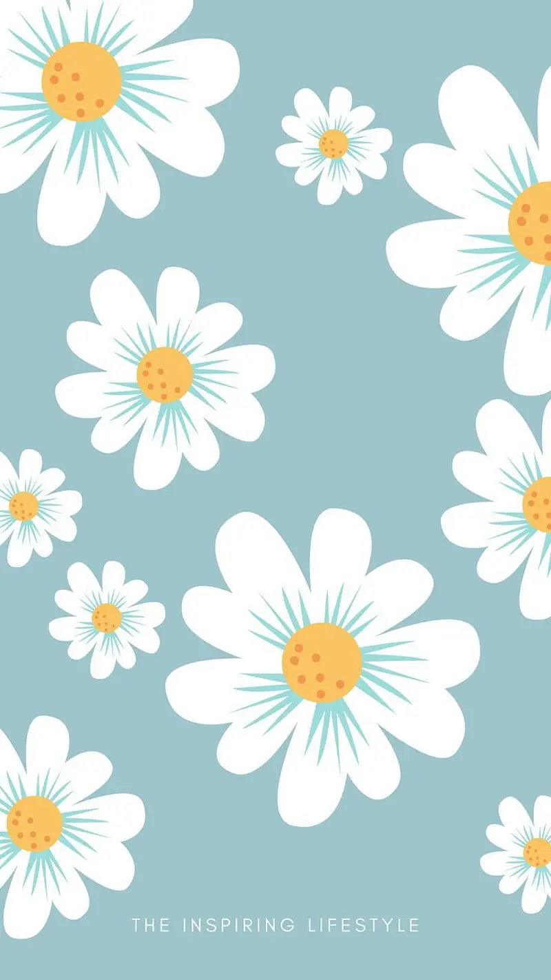 Fondos de pantalla en formato HTML - Cuáles son los tipos de fondo de pantalla f9ndos de pantalla - Cuáles son los tipos de fondo de pantalla
