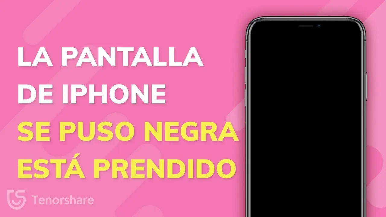 no se ve la pantalla de mi iphone - Qué hacer si no se ve la pantalla de mi iPhone