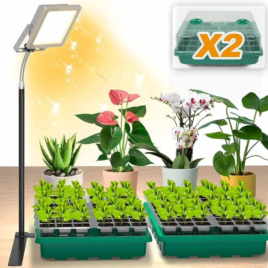 lampara para germinar semillas - Qué tipo de luz usar para germinar semillas