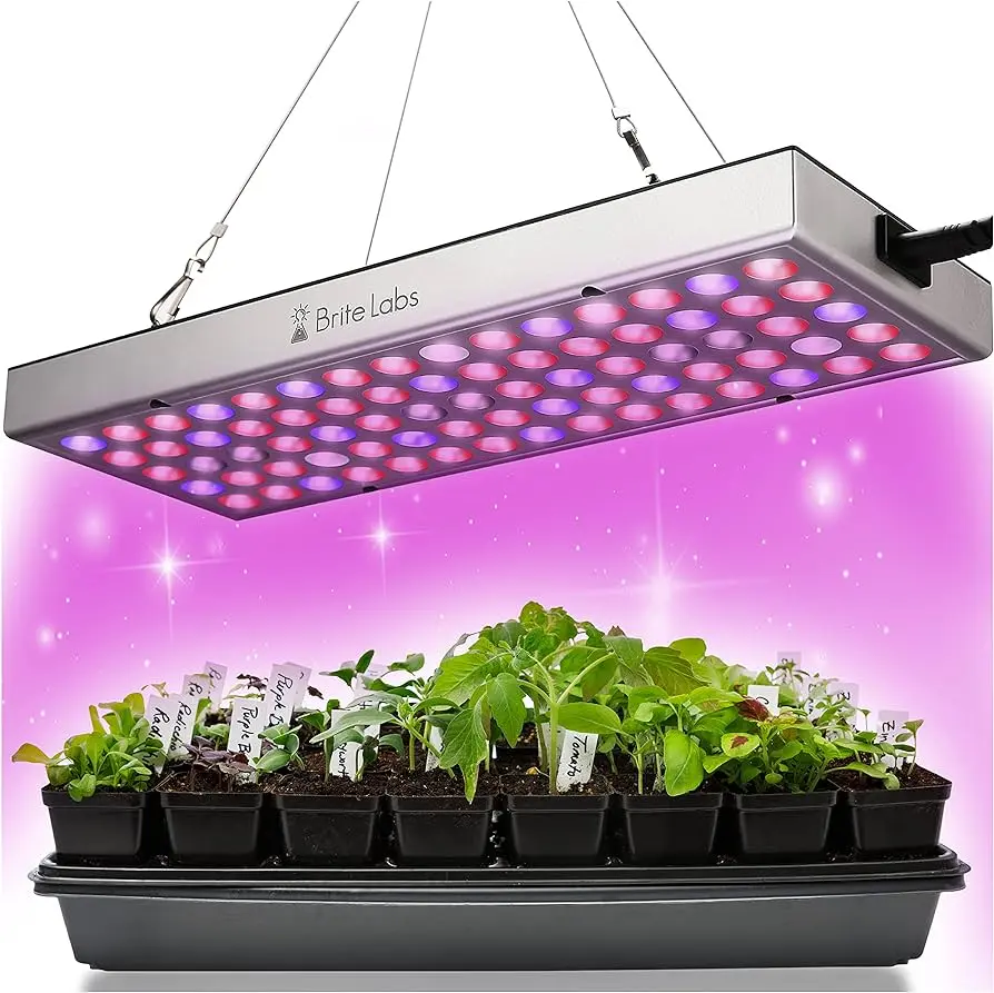 Lámpara para germinar semillas: consejos y temperatura ideal